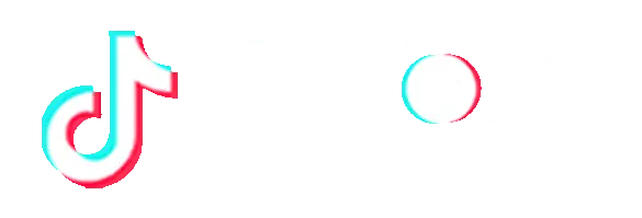 TikTok Creative Partner